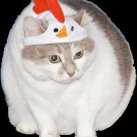 Profile Picture of Sean Denham (@SeanBDenham) on Twitter