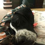 Profile Picture of Dwayne Tackett (@therealdwaynetackett) on Instagram