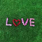 Profile Picture of Ali Shaier Arain (@Ali-Shaier-Arain) on Facebook