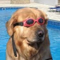 Profile Picture of Davin Moore Ross (@davin-moore-ross) on Quora