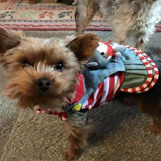 Profile Picture of Alexander Rahmlow (@alexander.rahmlow) on Facebook