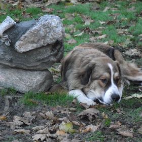 Profile Picture of janet arnott (@janetarnott) on Pinterest