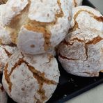 Profile Picture of Felice Multari (@felice.multari) on Facebook