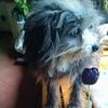 Profile Picture of Beth Bushnell (@@pitabeth) on Tiktok