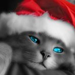 Profile Picture of Eric McAleer (@eric.mcaleer.37) on Facebook