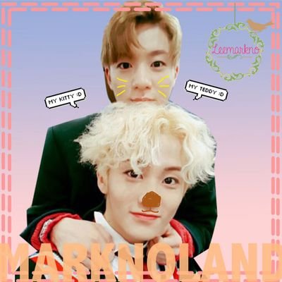 Profile Picture of 💘 MARKNOLAND 💘 (@MARKNOLAND_) on Twitter