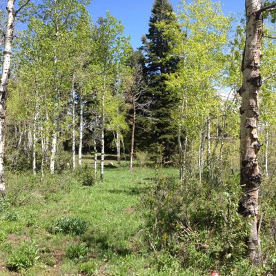 Profile Picture of Bryan Eckersley (@BryanEckersley) on Twitter