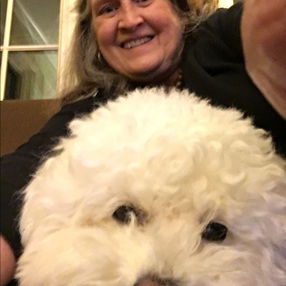 Profile Picture of Judy Scurci (@jscurci) on Poshmark