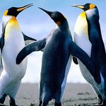 Profile Picture of Joshua Greenlee (@neonnights_yt) on Instagram