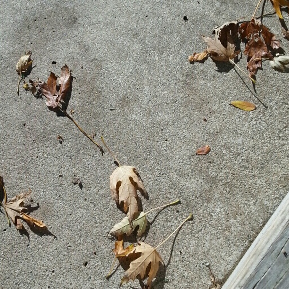 Profile Picture of Jackie Koehler (@jackie_k01) on Poshmark