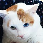 Profile Picture of Judy (@judy_joe_alex) on Instagram