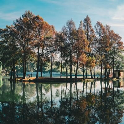 Profile Picture of Fabián Arredondo (@FabinArredondo1) on Twitter