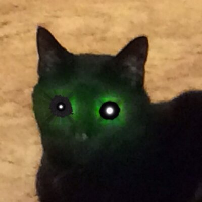 Profile Picture of Mark Fletcher (@flicker1000) on Twitter