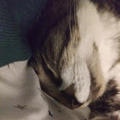 Profile Picture of Anna Loveless (@annaloveless9557) on Youtube