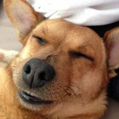 Profile Picture of Michelle Binkley (@michybinkley) on Twitter