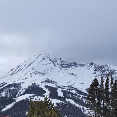 Profile Picture of Chad Licht (@The_ChadLT) on Twitter