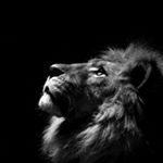 Profile Picture of Pavel Fomin (@pave1fomin) on Instagram