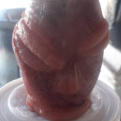 Profile Picture of Julio Pedroza (@juliopedroza8239) on Youtube