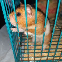 Profile Picture of Facundo Caballero (@facundocaballero) on Tiktok