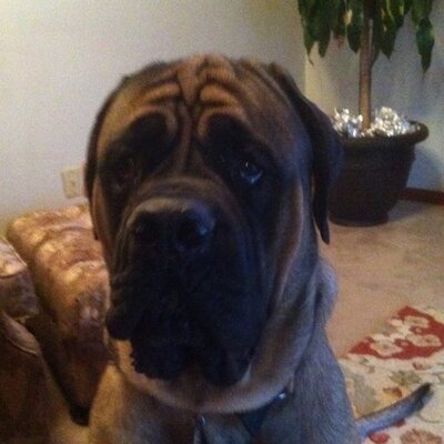 Profile Picture of Andy Henning (@HenningAndy) on Twitter