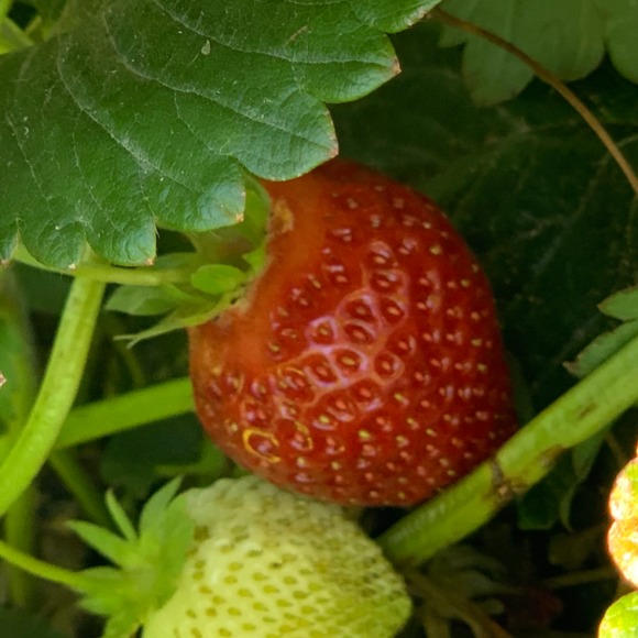 Profile Picture of Danielle Hurtado (@caligrl1983) on Poshmark