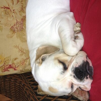 Melissa Wojnagi - Twitter Profile Picture of Melissa Wojnagi (@mwwojnagi) on Twitter