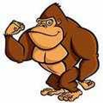 Profile Picture of Sean Roark (@sroark1002) on Twitter