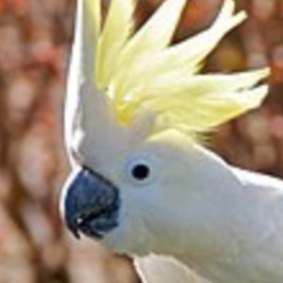 Chris Standish - Twitter Profile Picture of Chris Standish (@standish_chris9) on Twitter