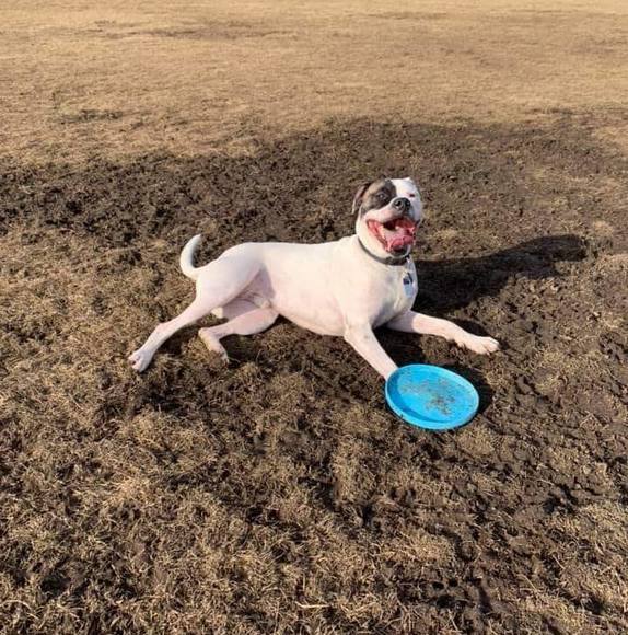 Profile Picture of Vickie Splithoff clutter (@darlingvickie) on Poshmark