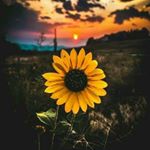 Profile Picture of Miranda Massey (@paranoid_glitch33) on Instagram