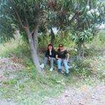 Profile Picture of Dora Jimenez Mendoza (@dorajimenezmendoza) on Instagram