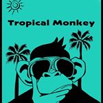 Profile Picture of Monkey-rita’s (@tropicalmonkeypr) on Instagram