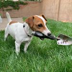 Profile Picture of Lucy Goose (@_lucy.goose_) on Instagram