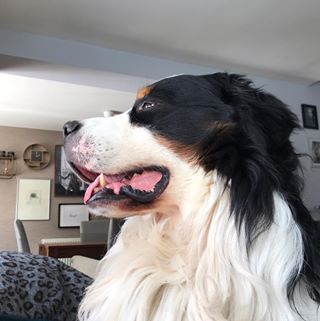 Profile Picture of Darryl Fitton (@Darryl-Fitton) on Facebook