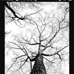 Profile Picture of brianriffle (@brianriffle7) on Instagram