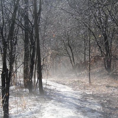 Profile Picture of Bo Shao (@boshao2020) on Twitter