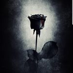 Profile Picture of Kevin Arst /Evan Karst (@evan.karst.420) on Instagram