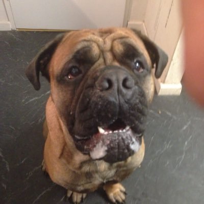 Profile Picture of Paul Hooley (@paulhooley3) on Twitter