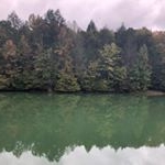 Profile Picture of Brian Banks (@brian_banks._) on Instagram