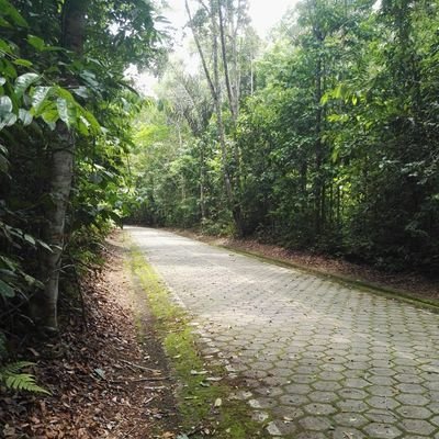 Profile Picture of Adrian Arturo Arispe Torrez (@Adrian_ltm) on Twitter