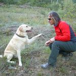 Profile Picture of Josep Solà (@josepsolatorello) on Instagram