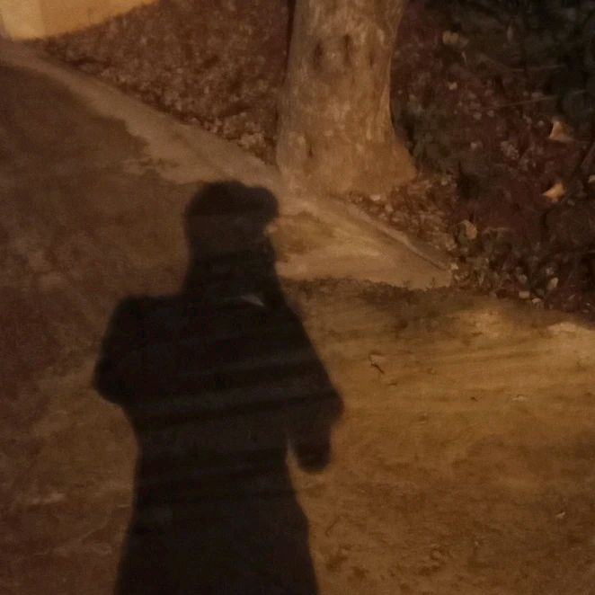 Profile Picture of Matt' (@matthewdis) on Tiktok