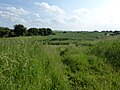 Profile Picture of Wiggenhall St Germans SSSIon Wikipedia
