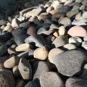 Profile Picture of Paulina Bowman (@pmb_8235) on Pinterest