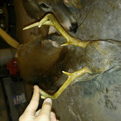 Profile Picture of Cameron Whitacre (@cameronwhitacre7859) on Youtube