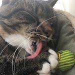 Profile Picture of Erik and Meredith (@eeriimeerii) on Instagram