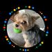 Profile Picture of Paula Chasse (@paulachasse88) on Pinterest