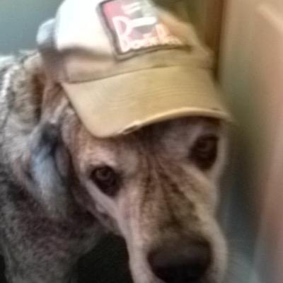 Profile Picture of Josh Stapf (@jstapf76) on Twitter