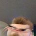 Profile Picture of Andrew Wilkie (@andrew.wilkie.121) on Facebook