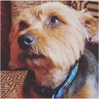 Profile Picture of Mark Clelland (@mark-clelland-1) on Quora